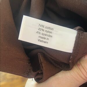 Lane Bryant Brown Trousers